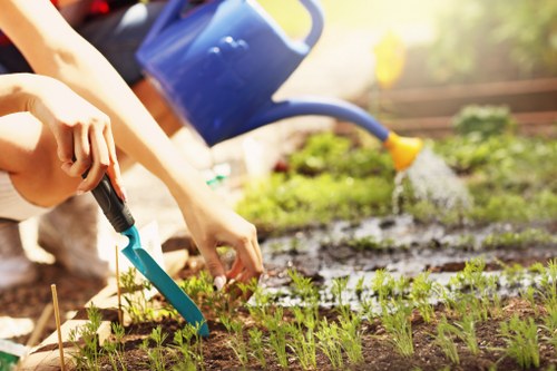 Professional lawn mowing service in Spitalfields