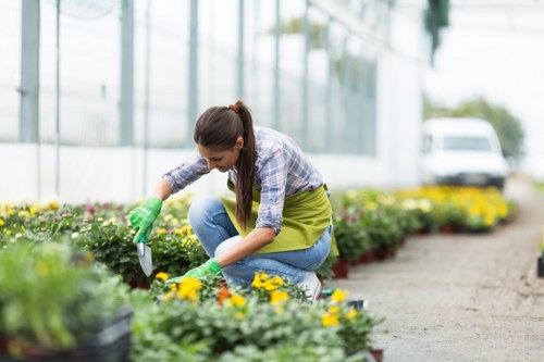 Inspector reviewing garden maintenance records onsite