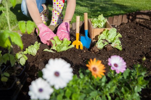 Eco-friendly fertilization treatments for a healthy lawn