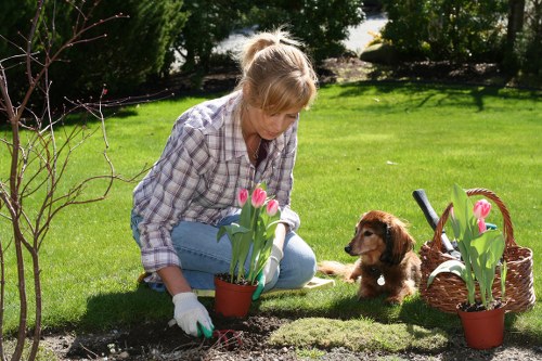 A woman with blonde hair tied back, wearing a plaid shirt and white gardening gloves, is kneeling on a well-maintained lawn in a garden in Spitalfields, London. She is planting or tending to pink tulips in a small terracotta pot, with a young brown puppy sitting nearby on the grass. The garden features a neatly edged flower bed with dark soil and low-growing greenery, bordered by a lawn with dense, lush green grass. To the right, there is a wicker basket filled with more potted pink tulips, and behind her, a backdrop of mature trees and shrubs provides shade and privacy. The scene is lit by natural daylight, indicating a bright, sunny day, typical of outdoor gardening activities in London. Lawn Mowing Spitalfields offers gardening services that include lawn care, planting, and garden maintenance, and this image exemplifies the care and attention involved in professional gardening in urban gardens within postcode E1.