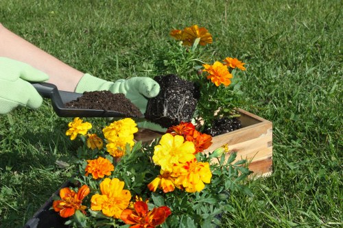 Precision edging and trimming services in Spitalfields